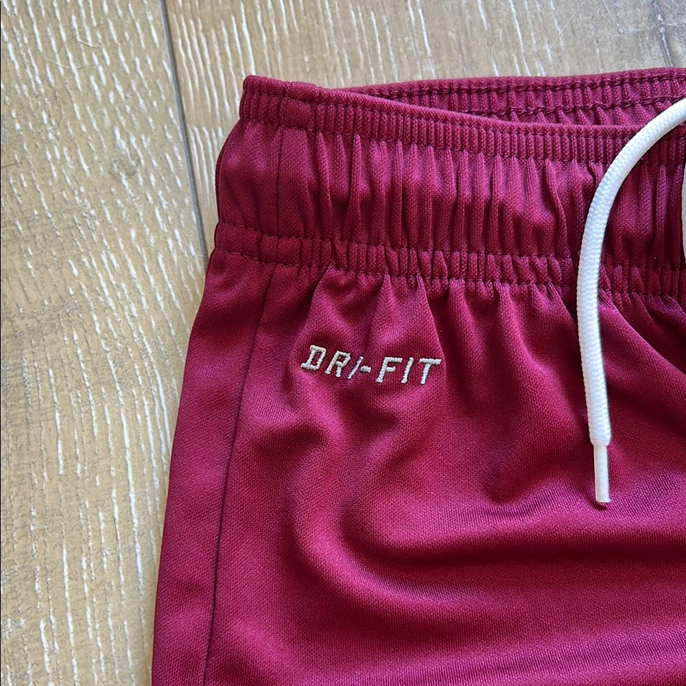 Nike Dri-Fit Men's Maroon Athletic Shorts - Picture 2 of 4